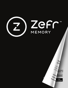 Zefr Interactive Online Manual